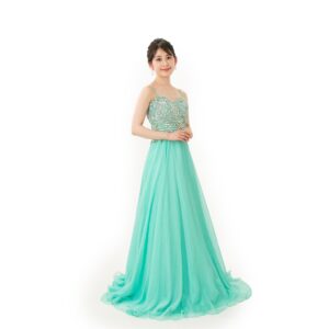 GN3295